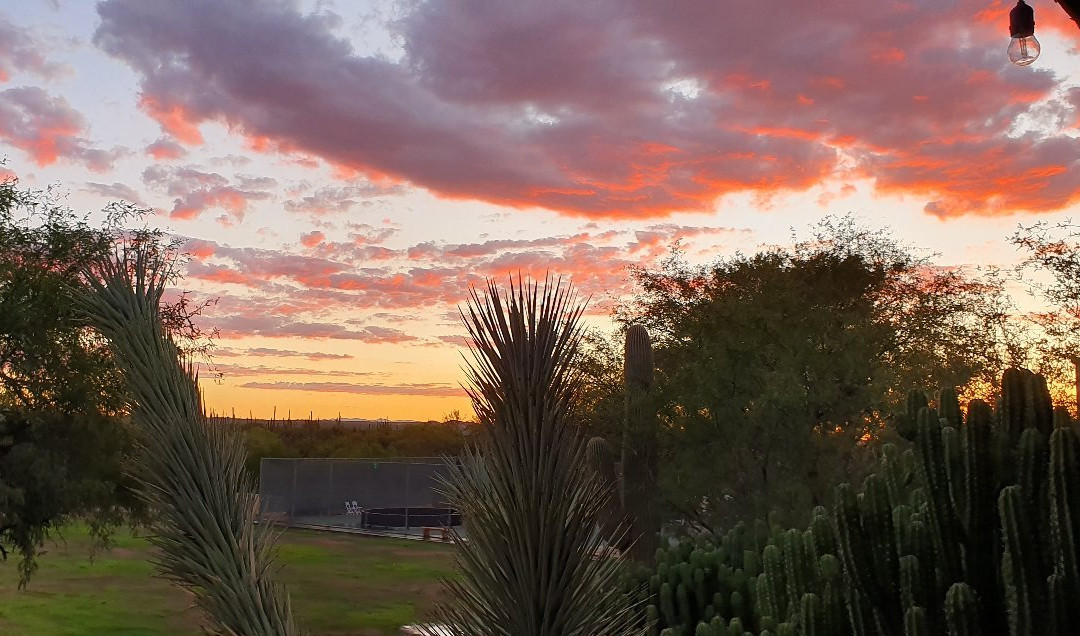 Tanque Verde Ranch-图森必去景点