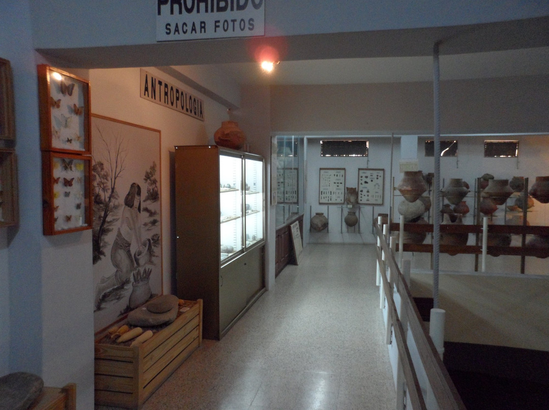 Museo Municipal Rincon de Atacama景点图片