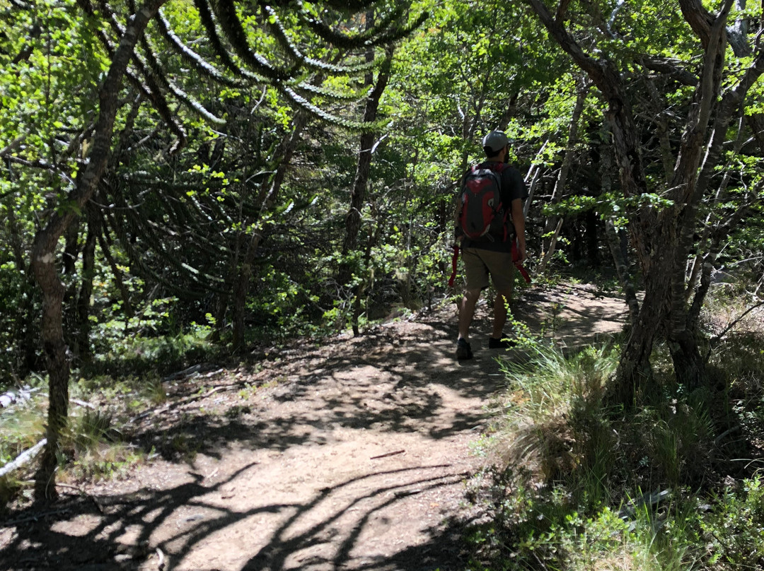 Wenimahuida Turismo-Angol必去景点