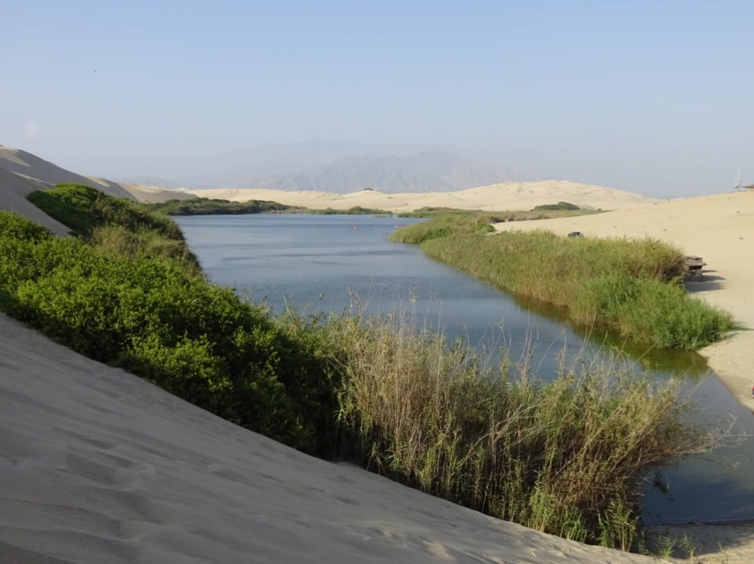 Moron Oasis-皮斯科必去景点