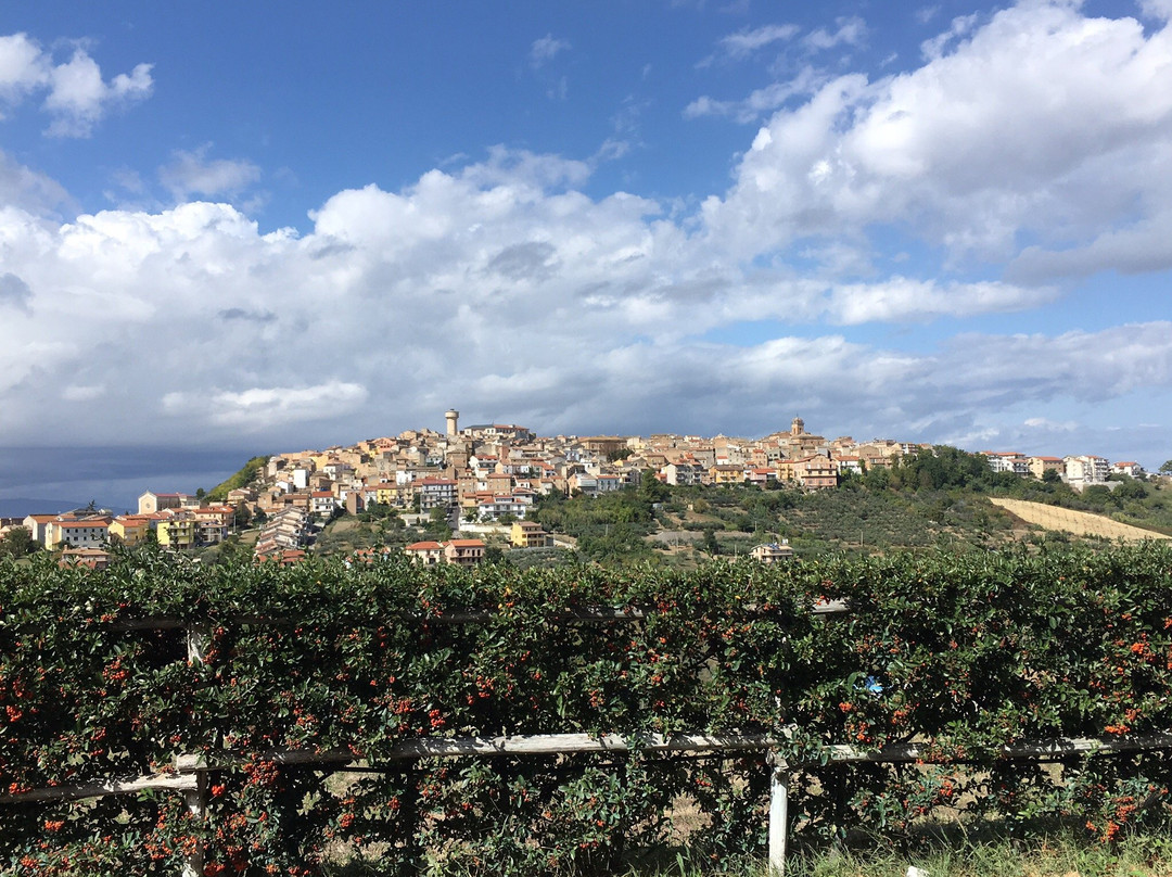 Azienda Vitivinicola Tenuta Oderisio景点图片