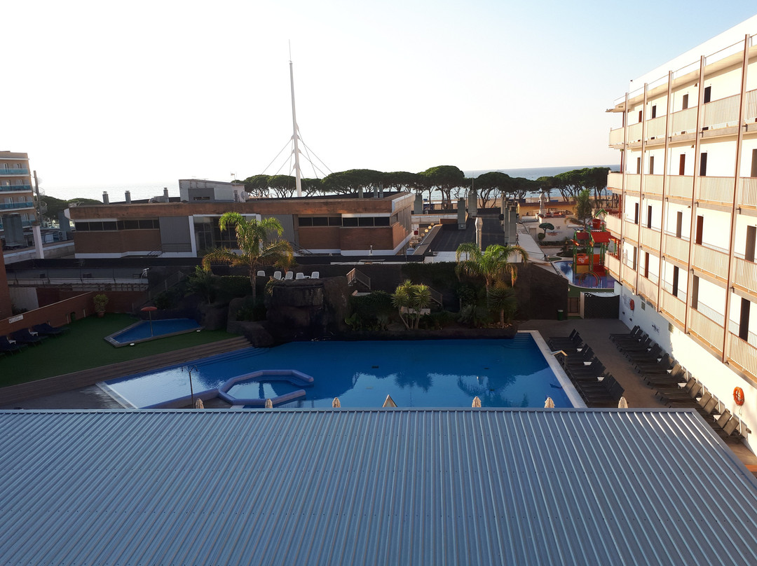 Hotel Papi主图