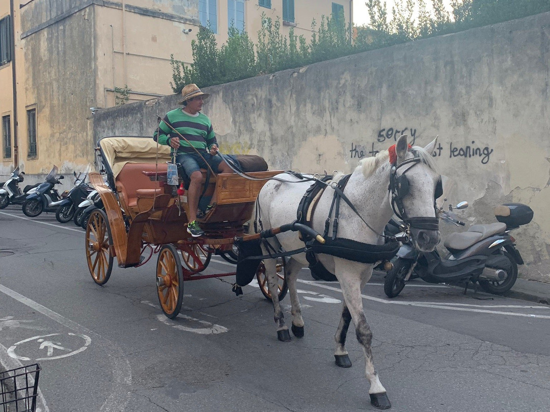 Italian Private Tours in English景点图片
