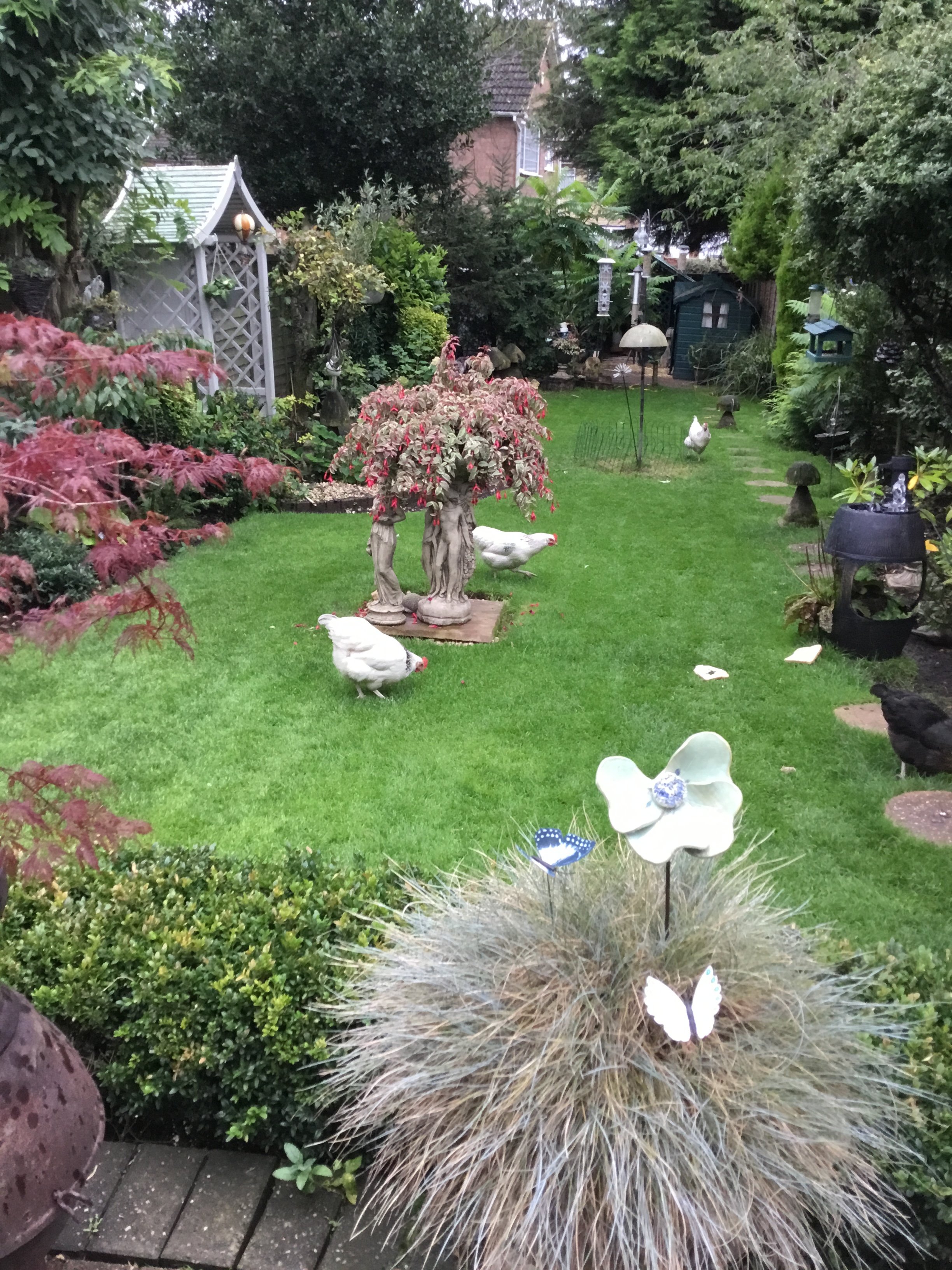 Homelea Guest House-portrait