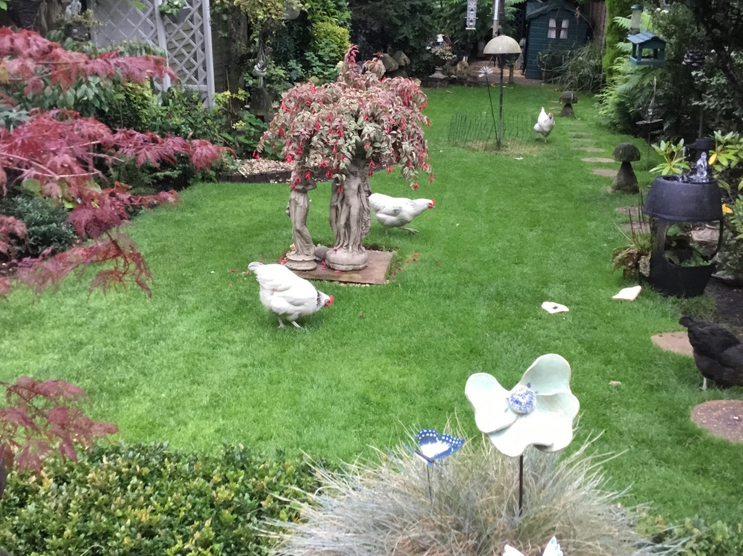 Homelea Guest House主图