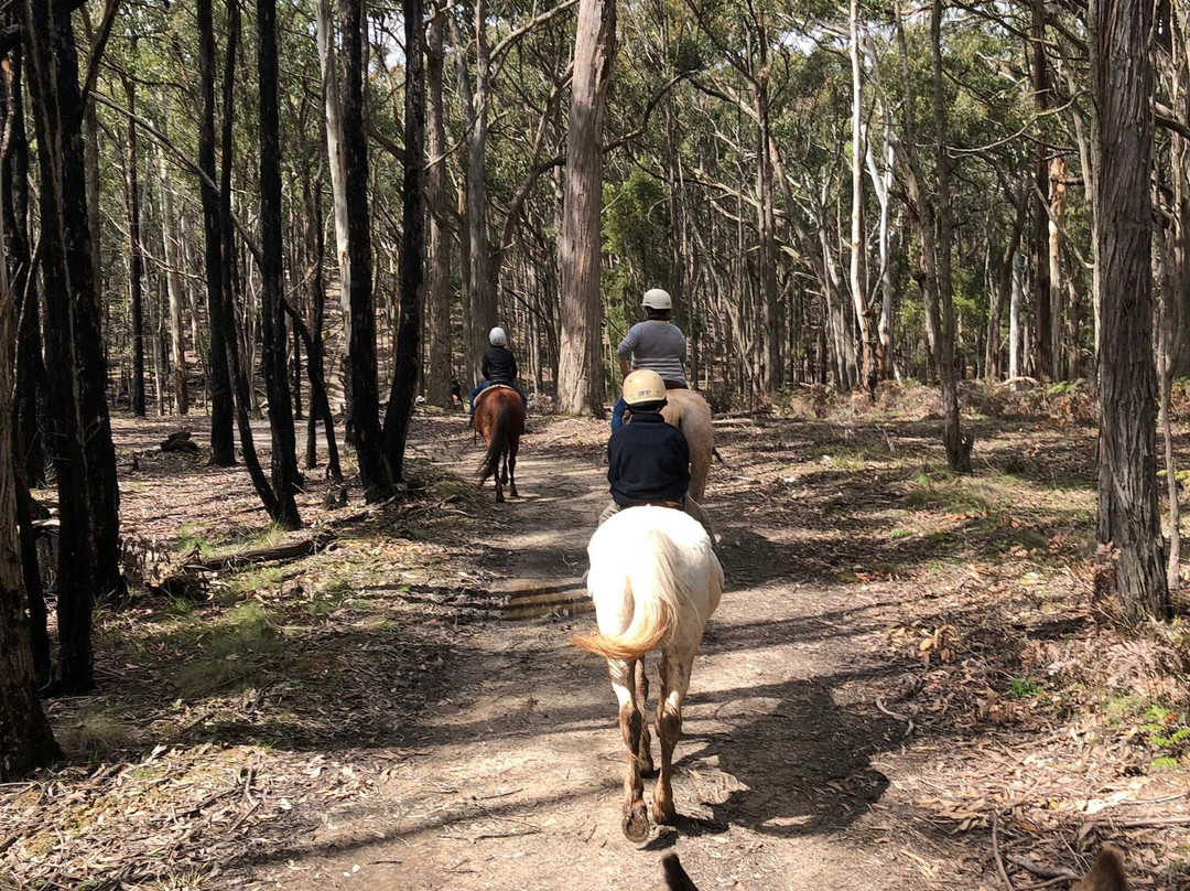 Hepburn Lagoon - Trail Rides-Hepburn Springs必去景点