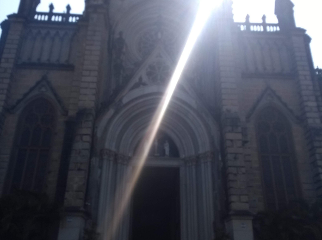 Catedral de São Pedro de Alcântara景点图片