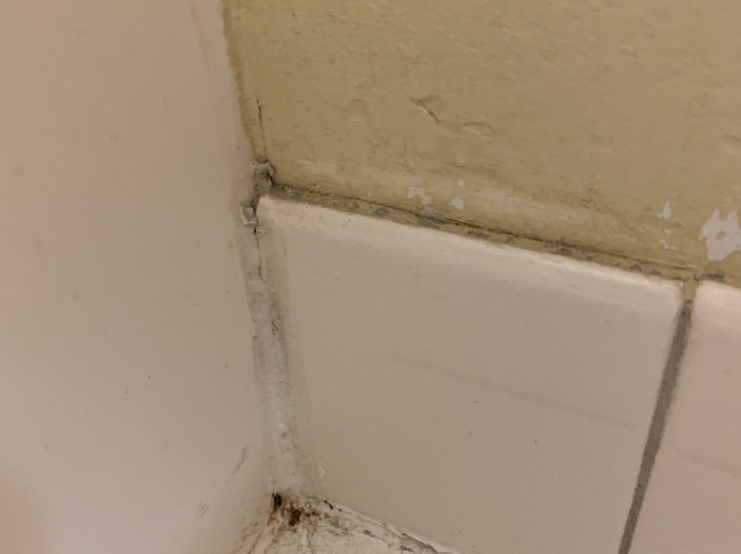 Travelodge by Wyndham Matteson主图