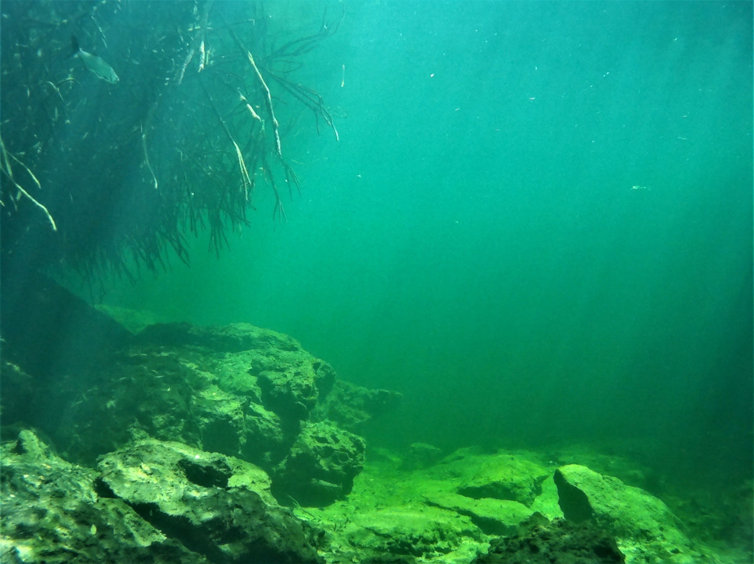 ProRec Dive Center-图伦必去景点