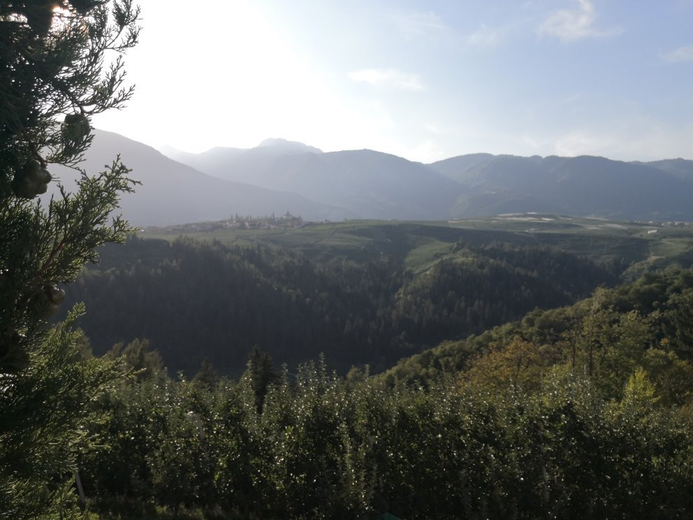 Agritur Casamela主图