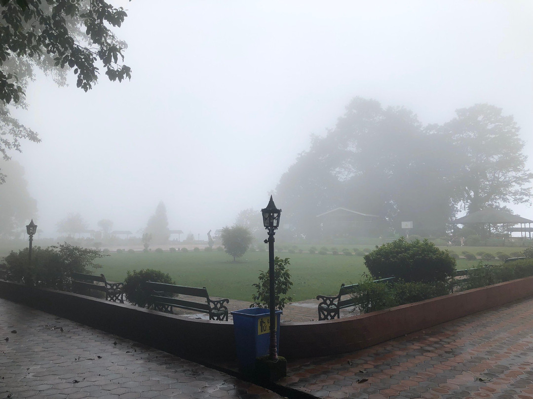 Shrubbery Nightingale Park-大吉岭必去景点