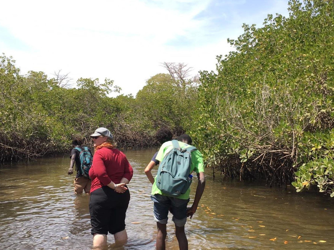 we-travel-you-若阿勒-法久特必去景点