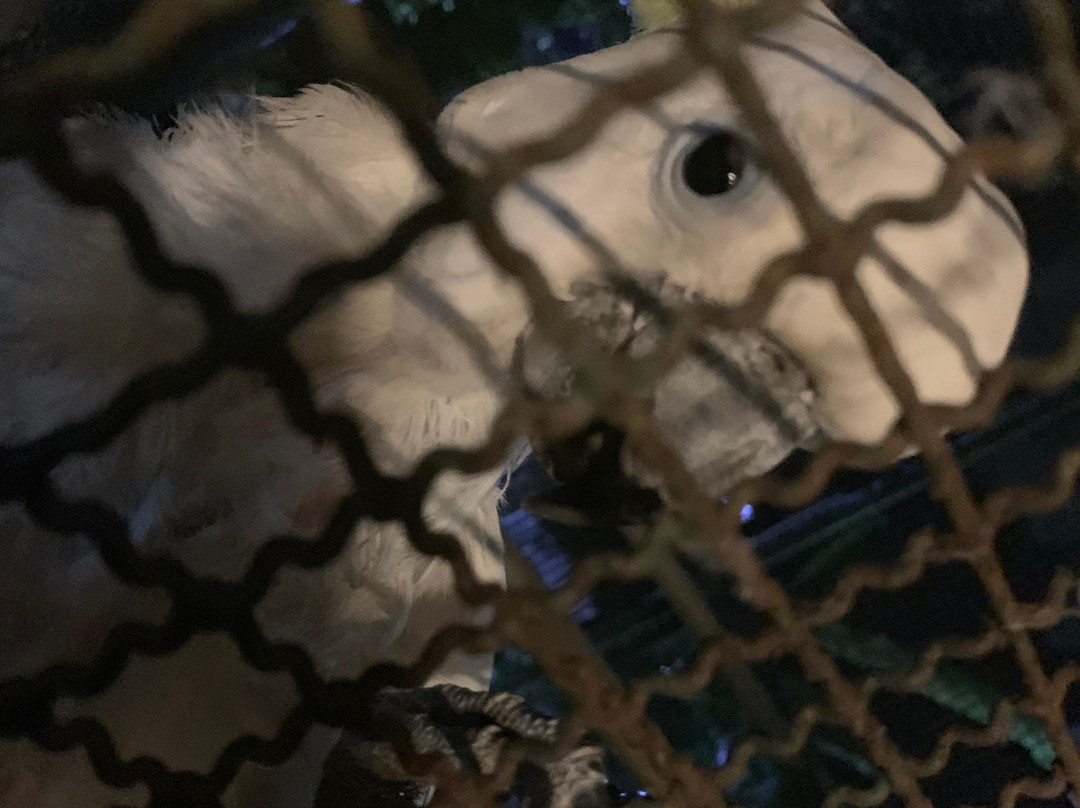 GG House - Happy Valley主图