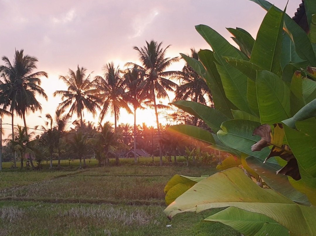 Paraiso Cottage主图