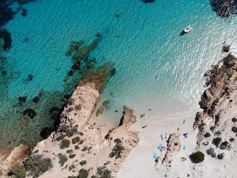 Shark Escursioni-帕劳必去景点