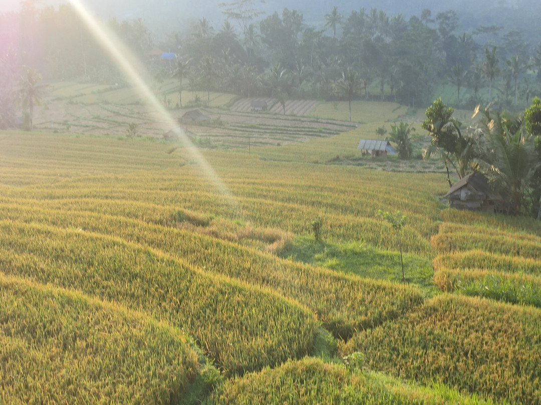 Bukit Luah Sidemen主图