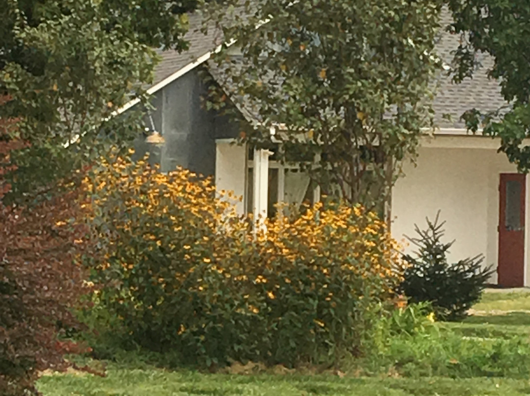 Burchell's White Hill Farmhouse Inn主图