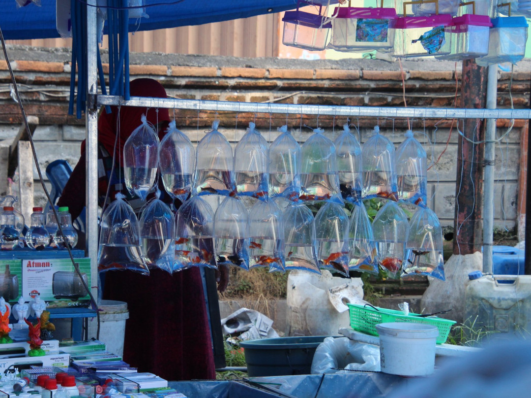 Gianyar Street Night Market-吉安雅必去景点