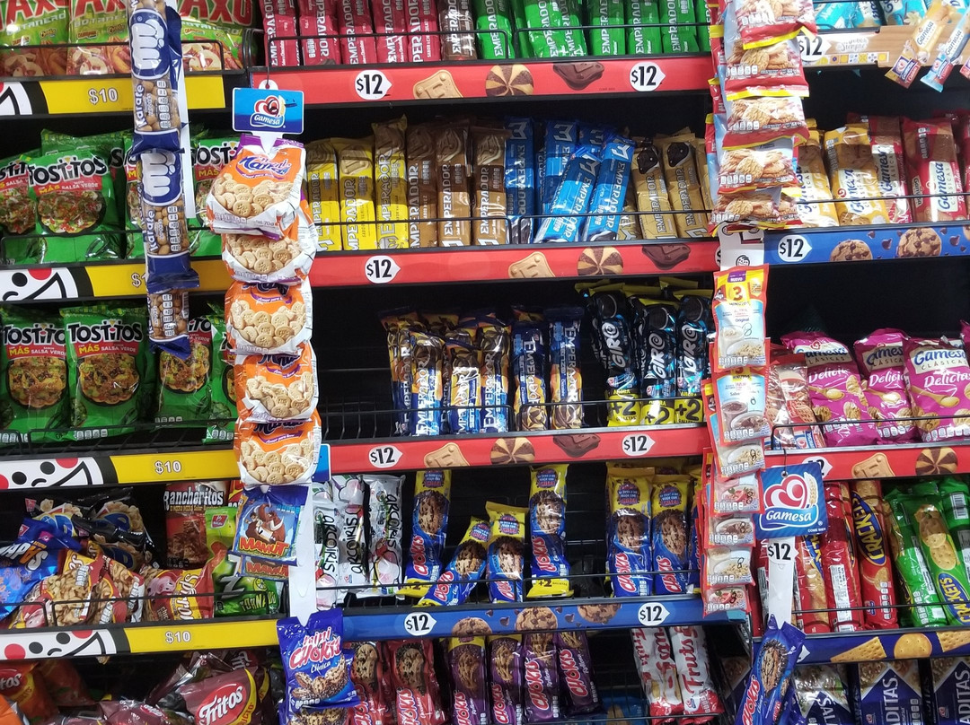 Laguna de Ciudad Guzman-Ciudad Guzman必去景点