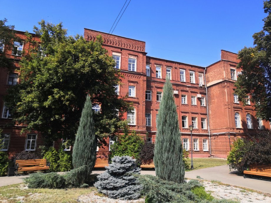 Monument to A.P. Platonov-沃罗涅什必去景点