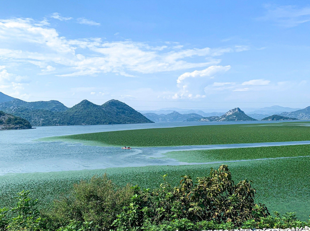 Lake Skadar景点图片