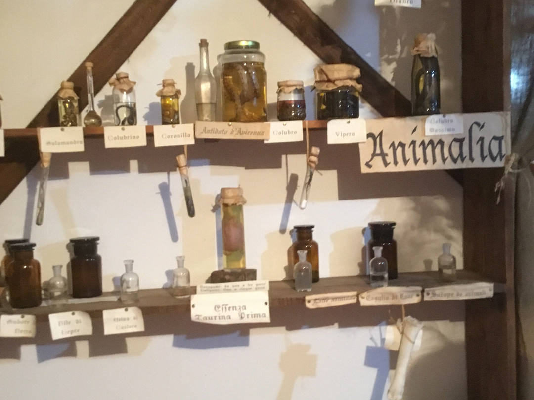 Museo delle Erbe - Viridairum-Teggiano必去景点