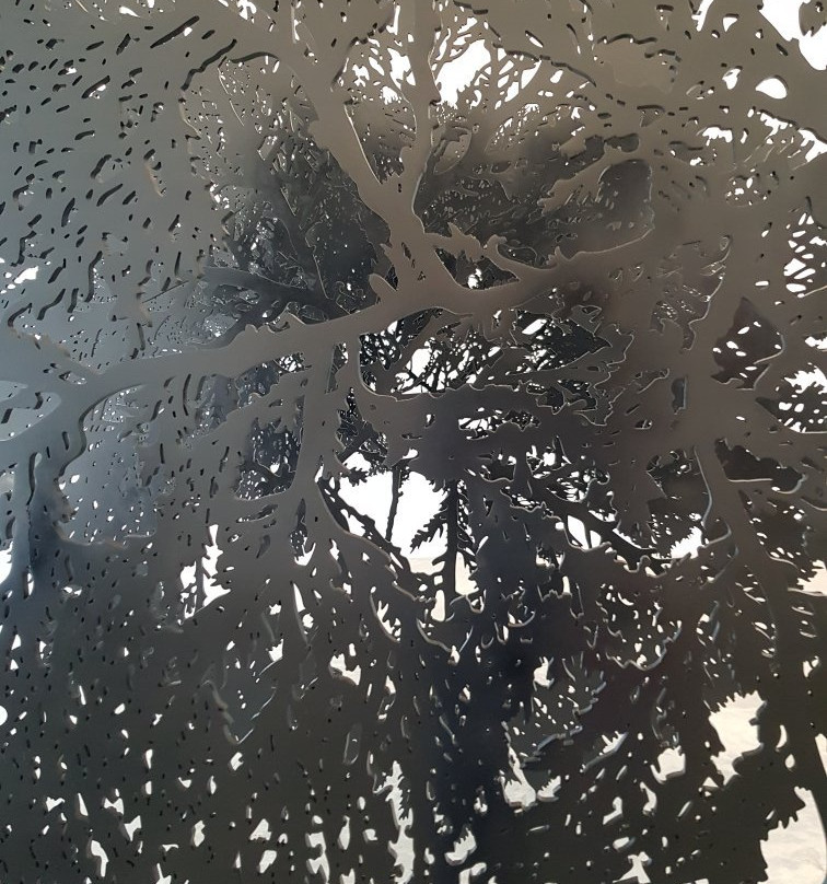 Museo Universitario de Arte Contemporáneo-墨西哥城必去景点