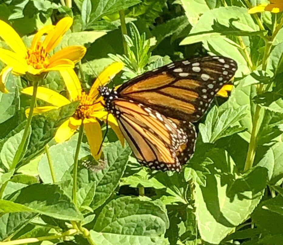 Avalon Park & Preserve-Stony Brook必去景点