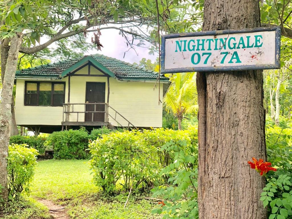 The Monarch Safari Park主图