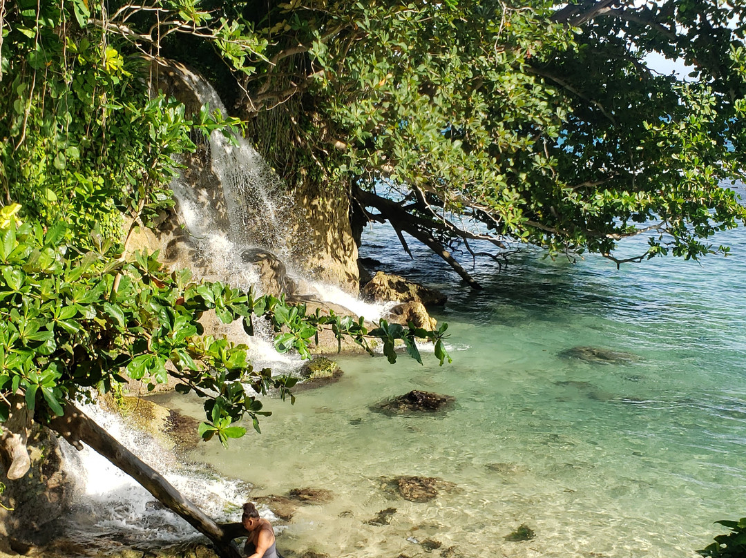 Little Dunn's River Falls景点图片