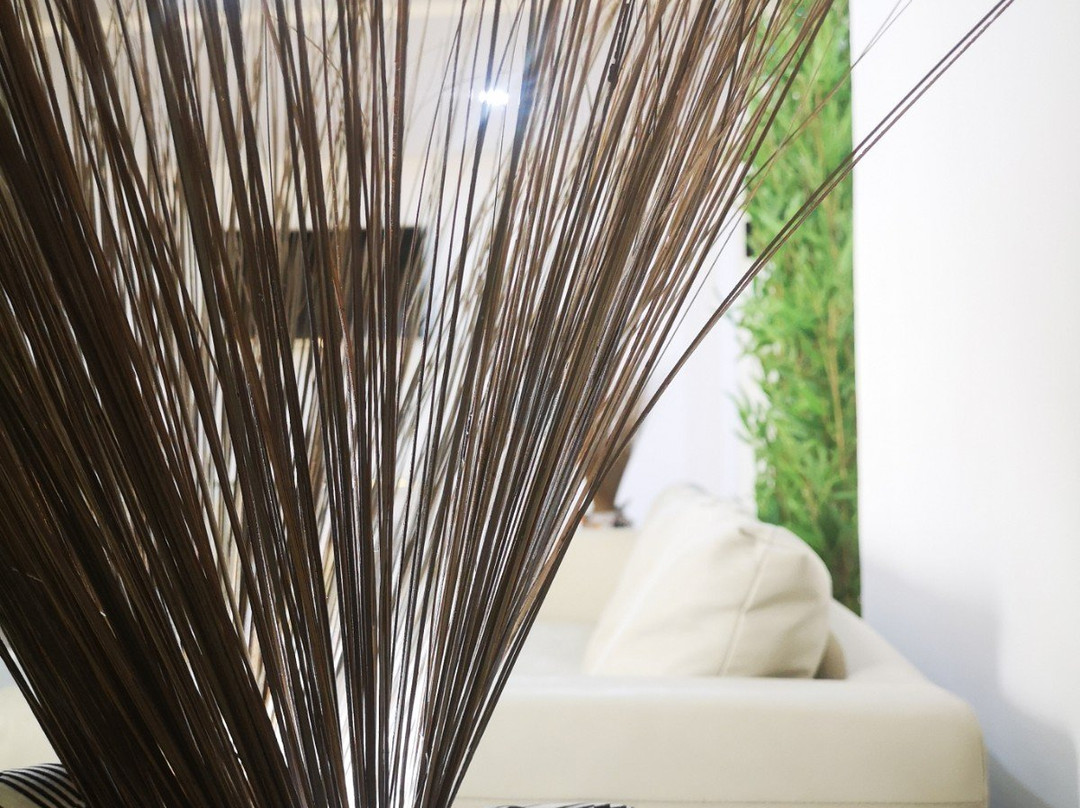 Fayel Appart-Hotel主图