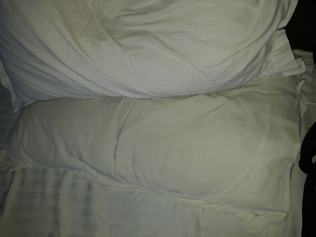 巴拉吉国际酒店主图