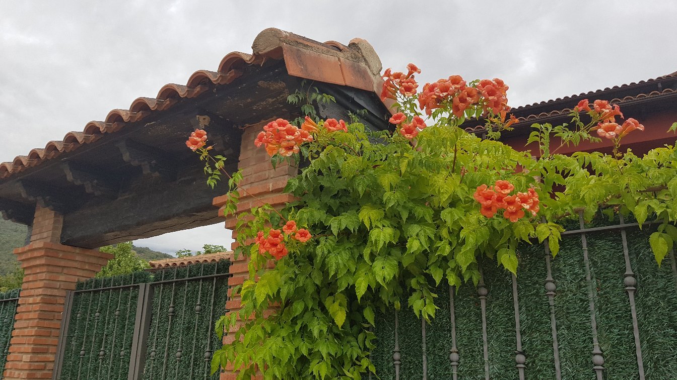Casa Rural La Canchalera-官方