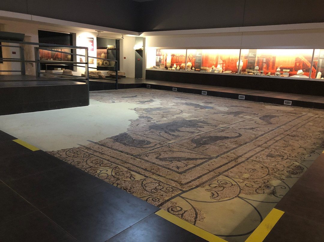 Parque Arqueologico la Alcudia景点图片