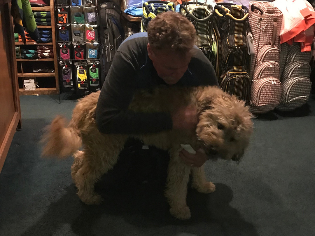 Cronin's Golf Resort主图