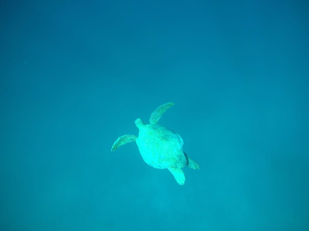 MAGICAL ADVENTURES LPZ-拉巴斯必去景点