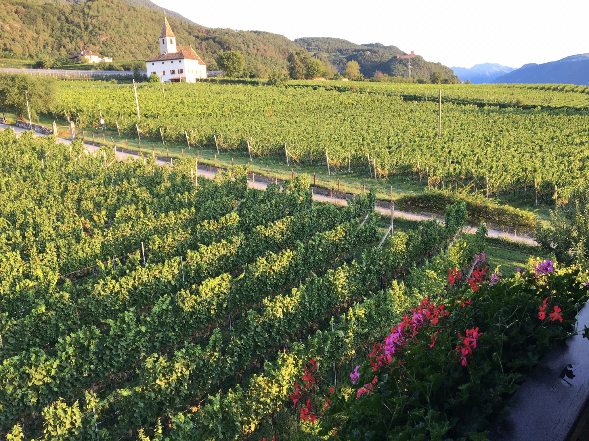 Gastehaus Mair-官方