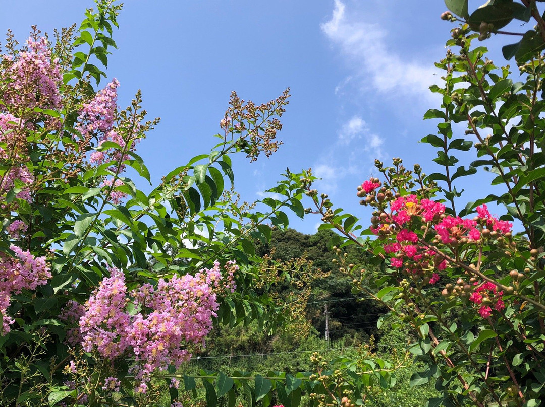 Okishima Island-近江八幡市必去景点