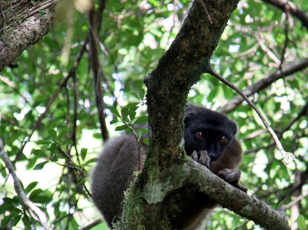 Zania Tours景点图片