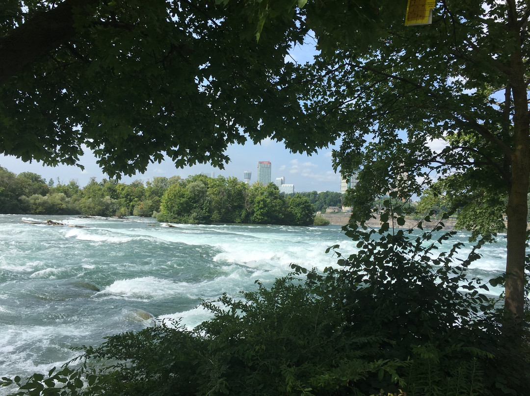 Niagara Falls Walking Tours景点图片