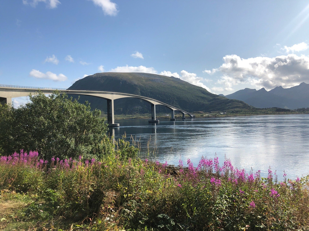 Kalle I Lofoten