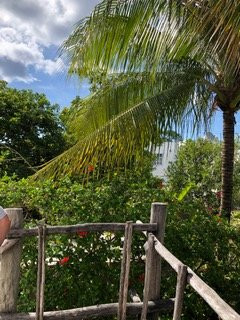 Bed & Breakfast Villa Escondida Cozumel主图