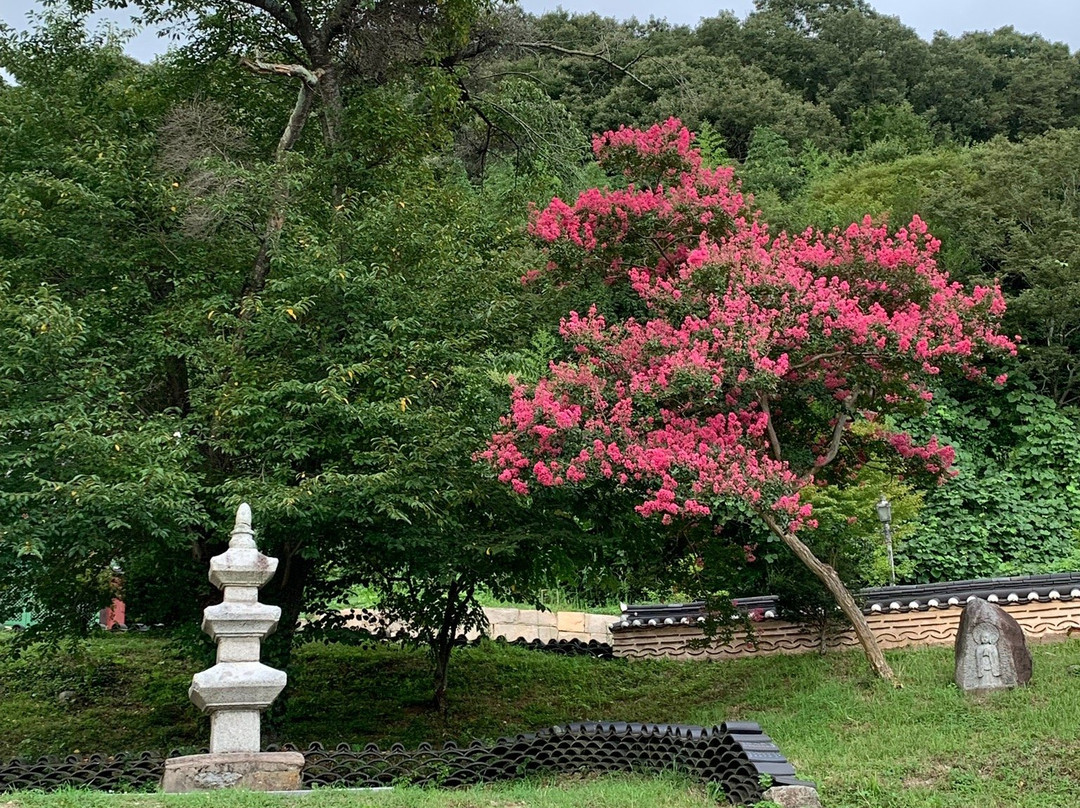 Yongcheonsa Temple (Hampyeong)-咸平郡必去景点