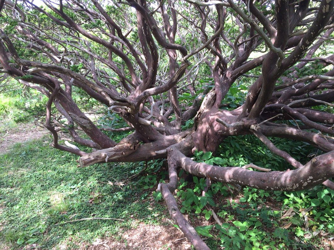 Onko no Sho-羽幌町必去景点