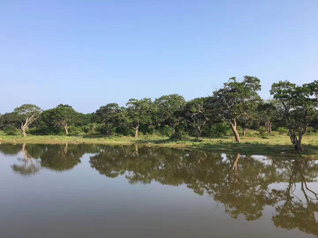 Nuwara Eliya Easy Taxi & Tours-奴娃拉伊利雅必去景点