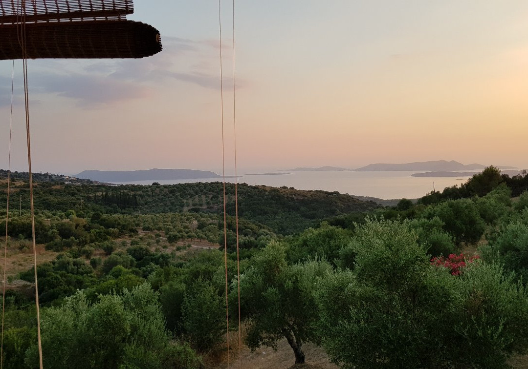 Iamia旅游攻略图片