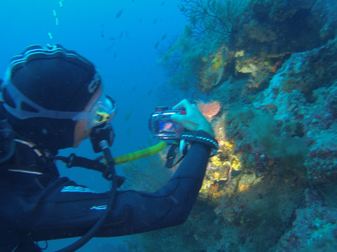 Cote Plongee-若安乐松必去景点