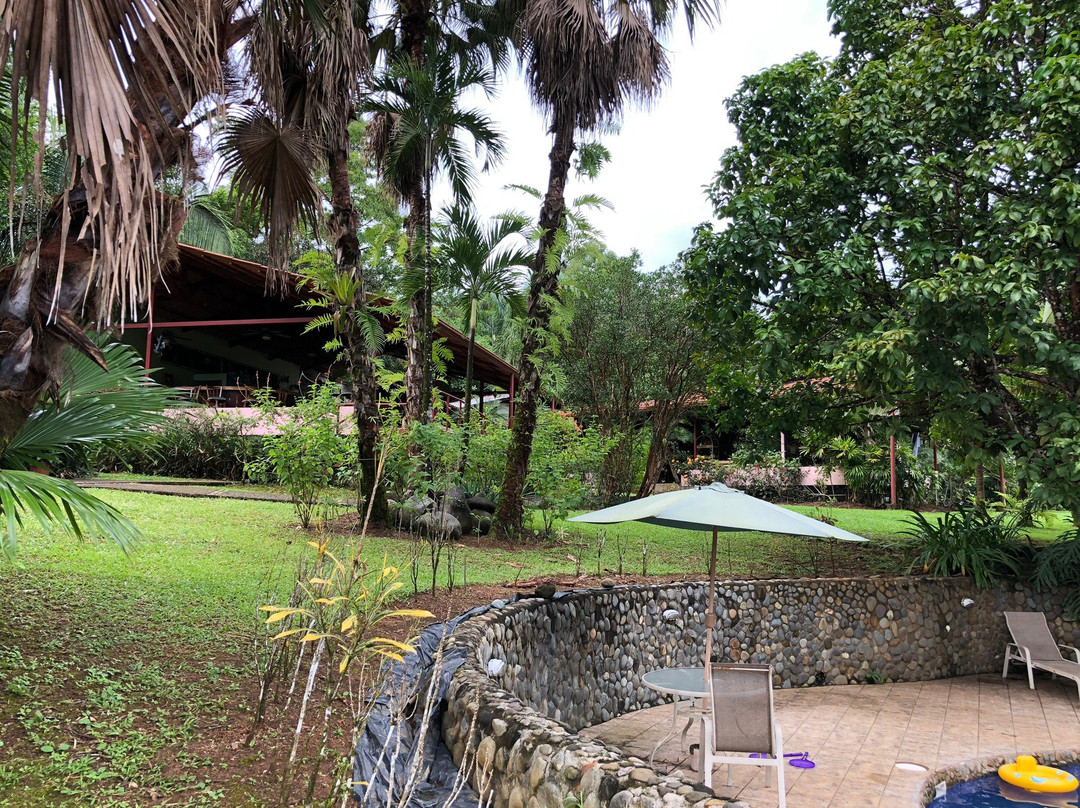 Blue Banyan Inn主图