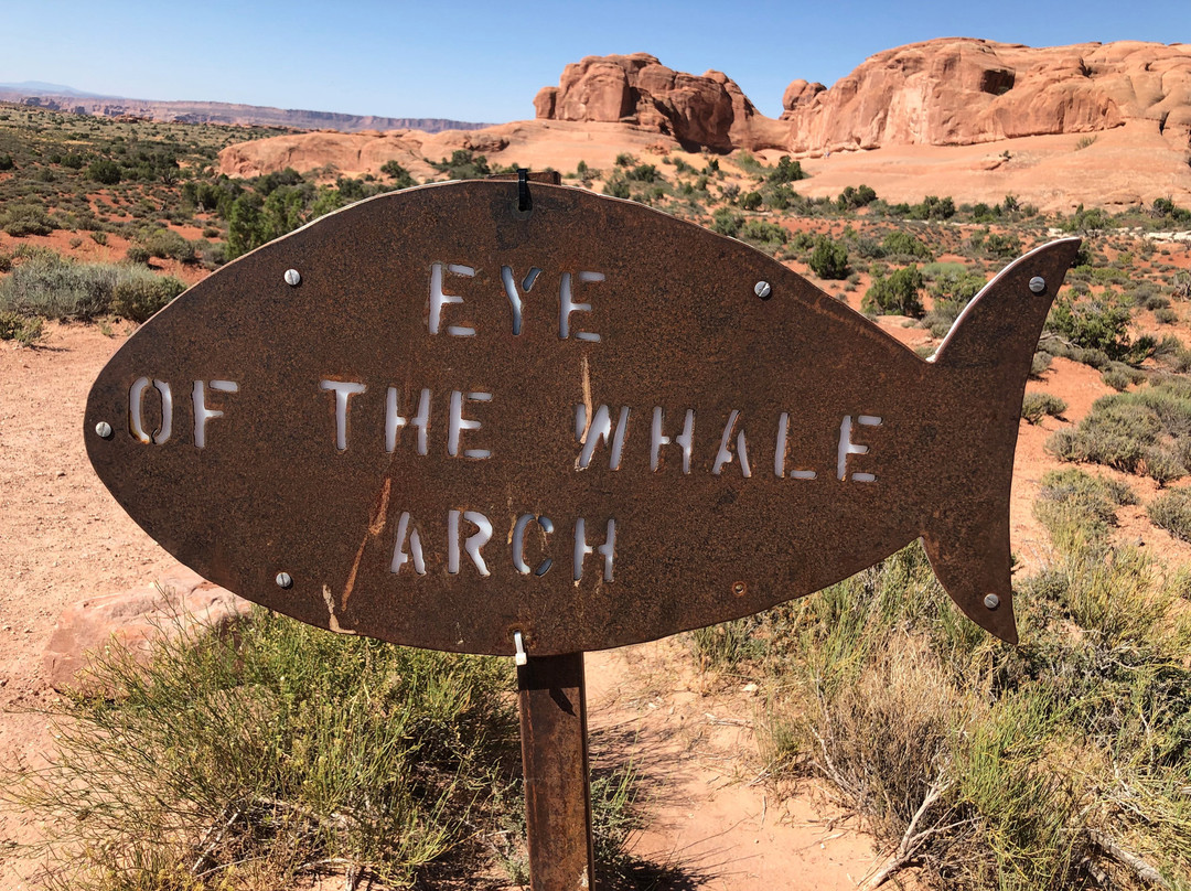 Eye of the Whale Arch-拱门国家公园必去景点