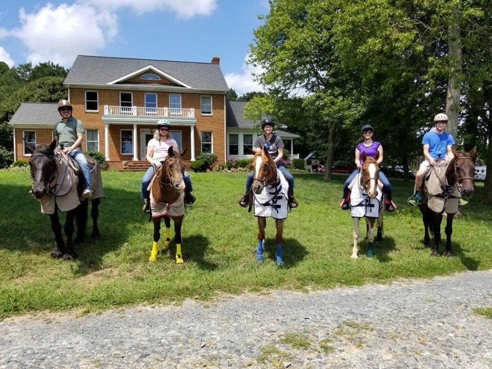 Queen Hive Farm-Assawoman必去景点